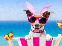 Motylki, Śmieszne, Okulary, Wakacje, Jack Russell terrier, Pies, Leżak