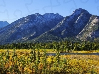 Góra Mount Norquay, Kanada, Park Narodowy Banff, Jesień