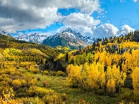 Góry Skaliste, Kolorado, Stany Zjednoczone, Szczyt, Lasy, Jesień, Chmury, Mount Sneffels, Drzewa