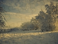 Śnieg, Ławka, Zima, Mróz, Drzewa