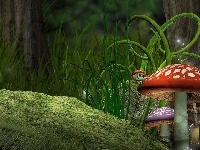 Muchomorki, Fantasy