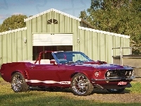 Mustang 351