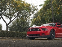 Czerwony, 2013, Ford Mustang