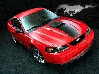 Ford Mustang, Grafika