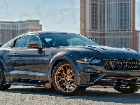 Ford Mustang GT, Pony Parts