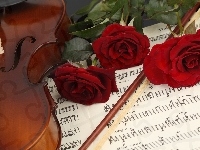 Muzyczny, Róże, Skrzypce, Instrument, Nuty