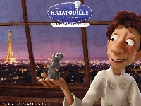 Chłopiec, Ratatuj, Ratatouille, Okno