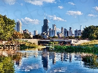 Chicago, Most, Rzeka, Na Miasto, Widok