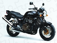 Naked, Kawasaki ZRX 1200, Lampa