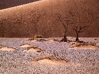 Namib, Afryka