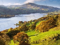 Góry, Wielka Brytania, Jezioro Bala Lake, Drzewa, Park Narodowy Snowdonia, Walia, Szczyt Aran Benllyn