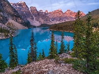 Drzewa, Skała, Moraine Lake, Alberta, Park Narodowy Banff, Jezioro, Kanada, Góry