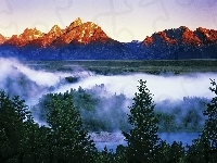 Góry, Narodowy, Las, Park, Grand Teton, Mgła