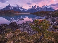 Kamienie, Park Narodowy Torres del Paine, Rolinno, Patagonia, Wschd soca, Gry Cordillera del Paine, Masyw Torres del Paine, Chile, Jezioro Peho, Brzeg