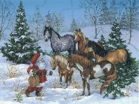 Boże Narodzenie, konie