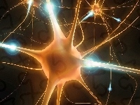 Impulsy, Neurony, Grafika