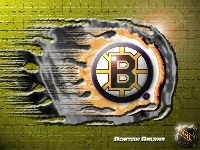 NHL, Logo, Drużyny, Boston Bruins