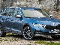 Skoda Octavia Scout, Niebieska