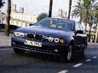 Niebieski, BMW E 39