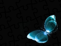 Motyl, Niebieski, Grafika