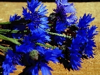Niebieskie, Bukiet, Kwiaty, Chabry
