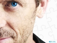 Niebieskie, Dr. House, Hugh Lauriego, Oczy
