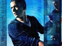 niebieskie, Prison Break, Wentworth Miller, tło