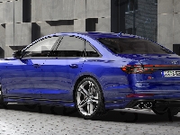 Niebieskie, Audi S8