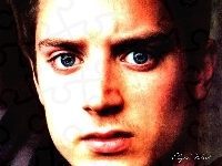 niebieskie oczy, Elijah Wood, twarz