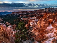 Park Narodowy Bryce Canyon, Stany Zjednoczone, Kanion, Drzewo, Sosna, Niebo, Skały, Kolorowe