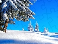 Drzewa, Niebo, Zima