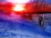 Niebo, Zima, Zachody Słońca, Kolorowe, Drzewo