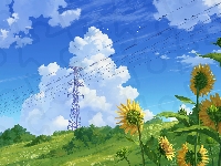 Niebo, Chmury, Słoneczniki, Linia elektroenergetyczna, Napowietrzna, Kwiaty, Budowla, Słupy
