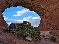 Niebo, Skały, Widok, Stany Zjednoczone, Iglaki, Krzewy, Park Narodowy Arches