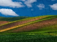 Obłoki, Niebo, Pola