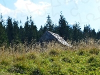 Trawa, Niebo, Bacówka