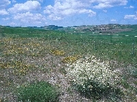 Niebo, Łąka, Wyżyny, Chmury