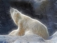 Polarny, Niedźwiedź, 3D