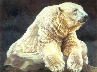 Polarny, Niedźwiedź, Malarstwo