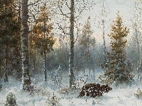 Niedźwiedź, Zima, Las, Reprodukcja obrazu