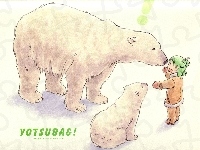 dziecko, niedźwiedzie, Yotsubato