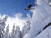 Drzewa, Śnieg, Snowboard