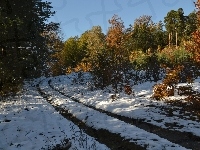 W, Śnieg, Drzew, Lesie, Kolory, Droga, Jesienne, Pierwszy