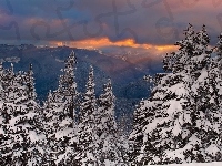 Śnieg, Wzgórza, Zima, Drzewa, Góry, Zachód Słońca
