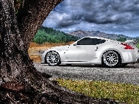 Nissan 370z