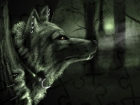 Noc, Wilk, Drzewa, Fantasy