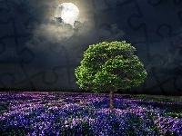 Noc, Księżyc, Drzewo, Łąka