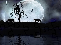 Noc, Tygrysy, Drzewo, Księżyc