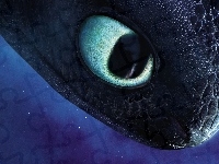 Smok, Jak wytresować smoka, How to Train Your Dragon, Nocna Furia