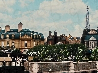 Notre Dame, Rzeka, Paryż, Francja, Most